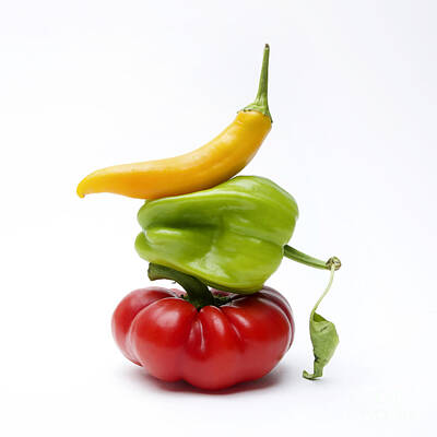 Designs Similar to Bell Peppers and Tomatoes #1
