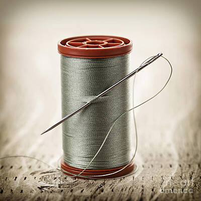 Needle and Thread Photograph by Tom Mc Nemar - Fine Art America