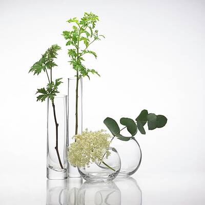 Designs Similar to Medicinal Plants #5