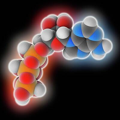 Nucleotide Monomers Art Prints