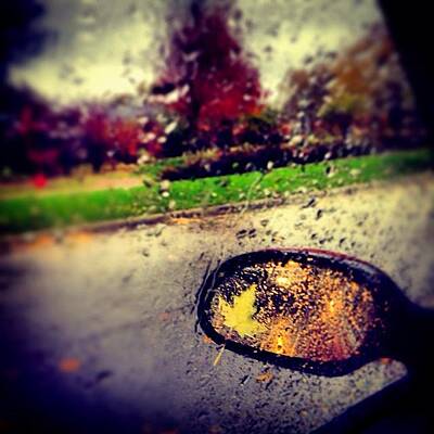 Designs Similar to Autumn In Rear View