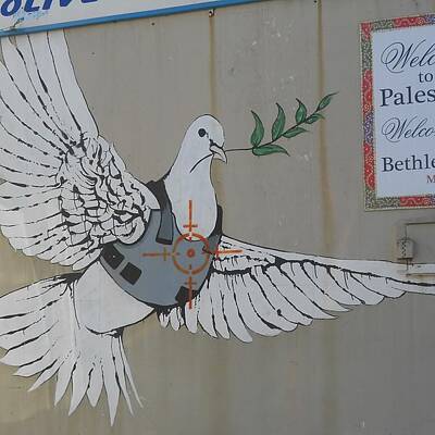 Designs Similar to Banksy Dove In Bethlehem