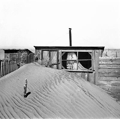 Designs Similar to Dust Bowl