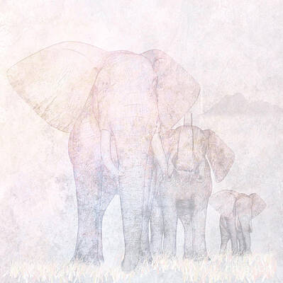 Designs Similar to Elephants by John Edwards