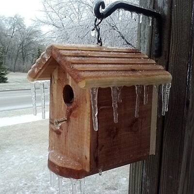 Designs Similar to Icy Bird House