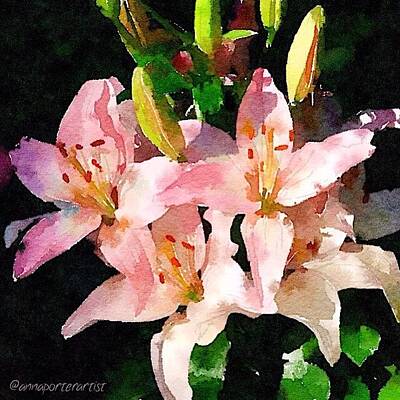 Designs Similar to Lovely Lilies digital painting