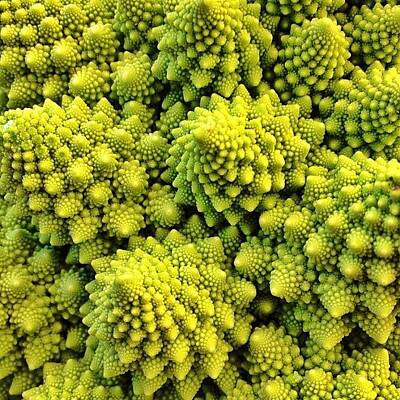 Fractal Photos