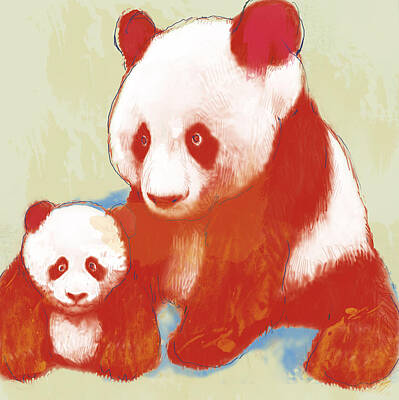 Giant Panda Drawings