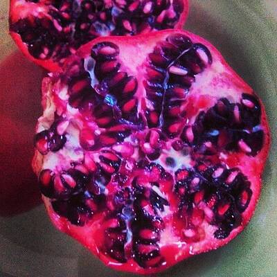 Pomegranate Art