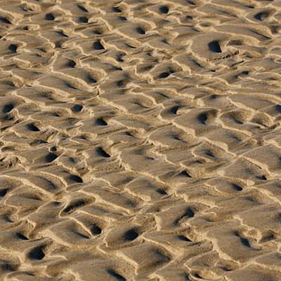 Designs Similar to Sand Patterns