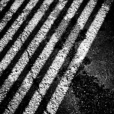 Pavement Photos