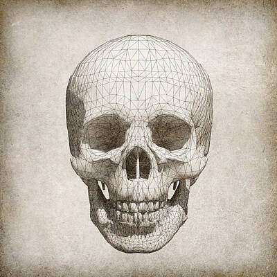 Cracked Skull Original Artwork