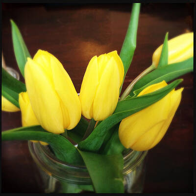 Designs Similar to Soft yellow tulips