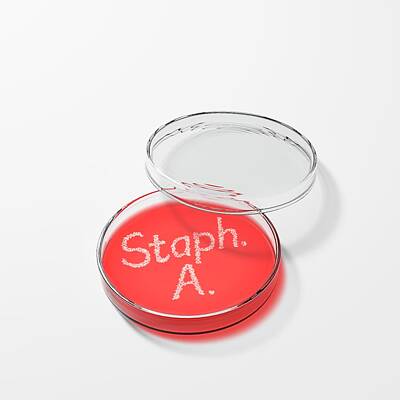 Staph Infections Art
