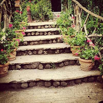 Designs Similar to Steps in Giverny