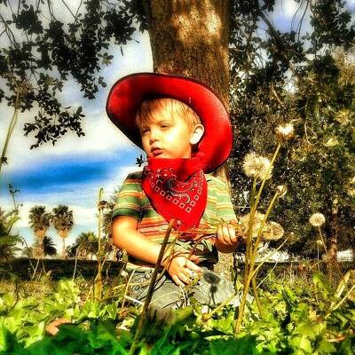 Little Cowboy Photos