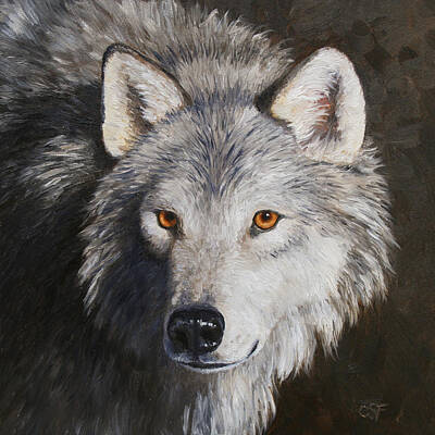 Canadian Timber Wolf Paintings
