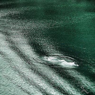 Designs Similar to Green Waters Of Tracy Arm Fjord