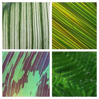 Designs Similar to leaf collage II