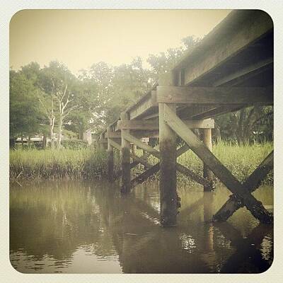 Lowcountry Photos