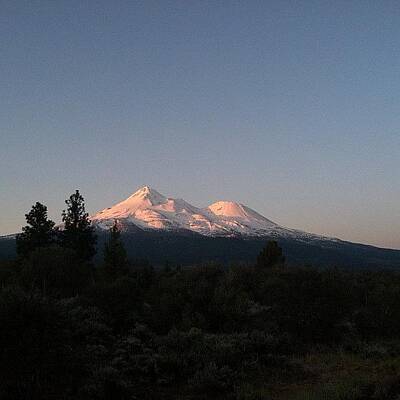 Mt. Shasta Art Prints