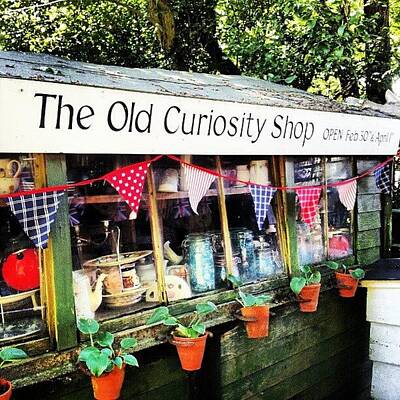 Designs Similar to The Old Curiosity Shop
