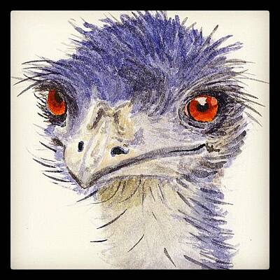 Designs Similar to Watercolour Sketch Of Emu