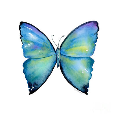 Designs Similar to 2 Morpho Aega Butterfly
