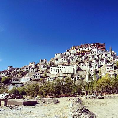 Thiksey Gompa Photos