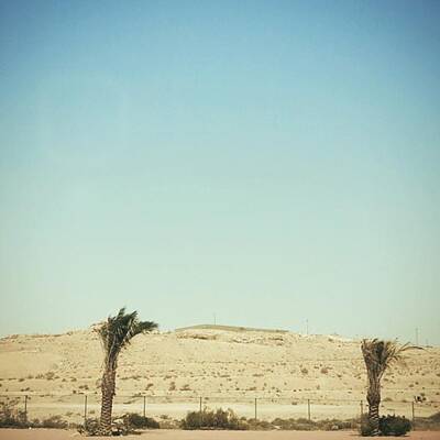 Arabian Desert Art