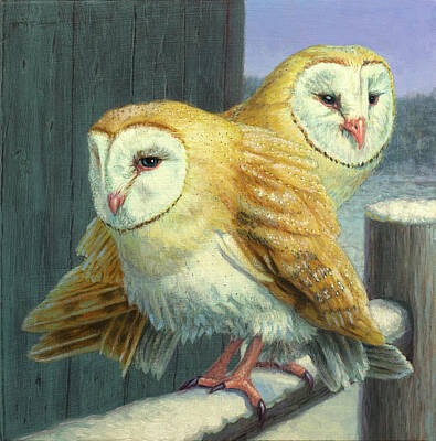 Snow Owl Paintings