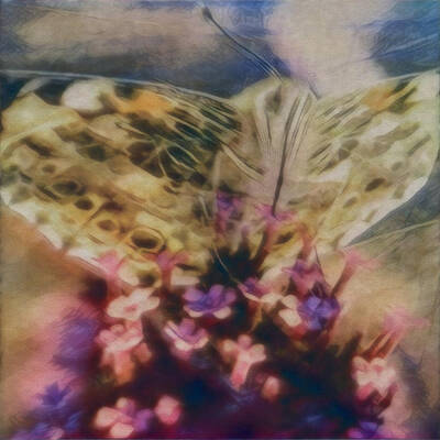  Digital Art - Butterfly Garden by Kae Art