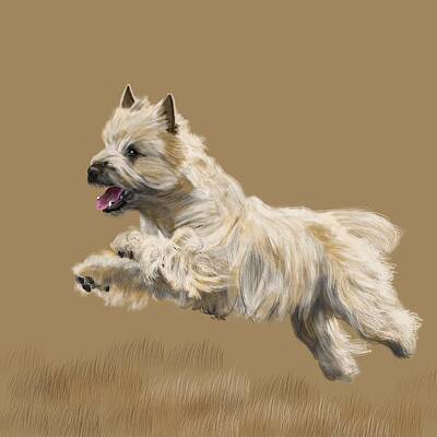 Cairn Terrier Digital Art Prints
