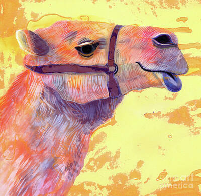 Camel Art Prints
