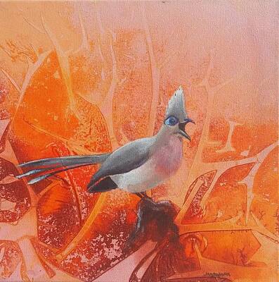 Crested Coua Paintings