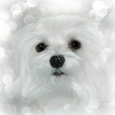 Snowdrop The Maltese Products Art