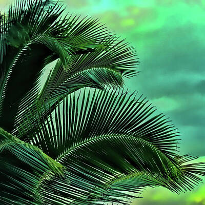 Palm Frawns Art