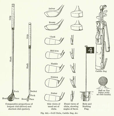 Caddies Drawings