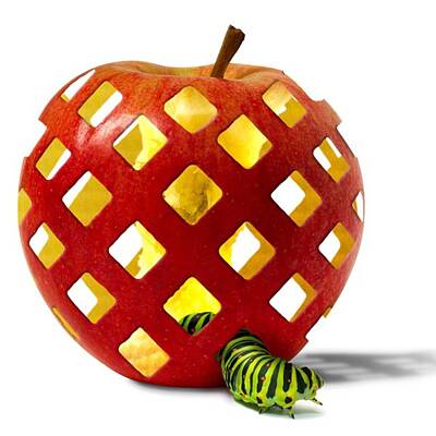 Designs Similar to Latticework #apple #caterpillar