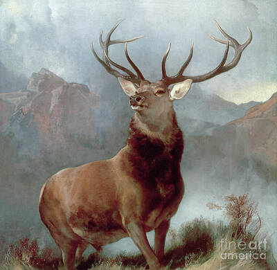 Scottish Highlands Paintings