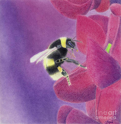  Painting - Pollenation by Carol Bond