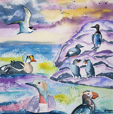 Auklets Paintings