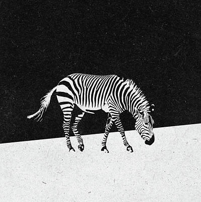 Designs Similar to Zebra by Zoltan Toth