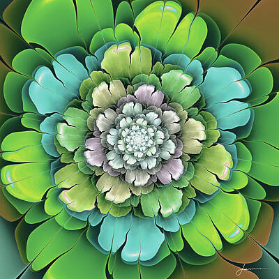 Designs Similar to Fractal Blooms I #2