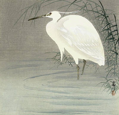 Designs Similar to Little egret, 1930