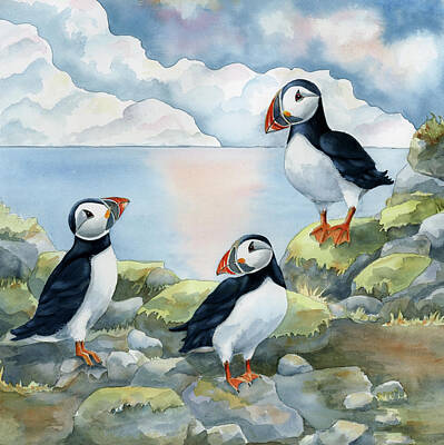 Puffins Paintings