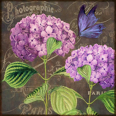 Purple Hydrangea Photos