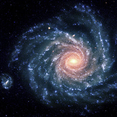 Designs Similar to Spiral galaxy NGC 1232