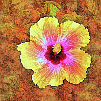  Digital Art - Hibiscus by Debbie Smith