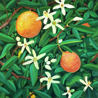  Painting - Blooming Orange Tree by Laura Dozor